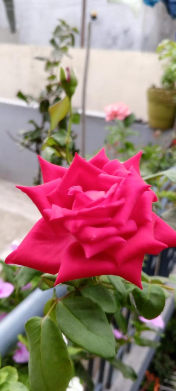 Gungun Homestay Rishikesh Ngoại thất bức ảnh