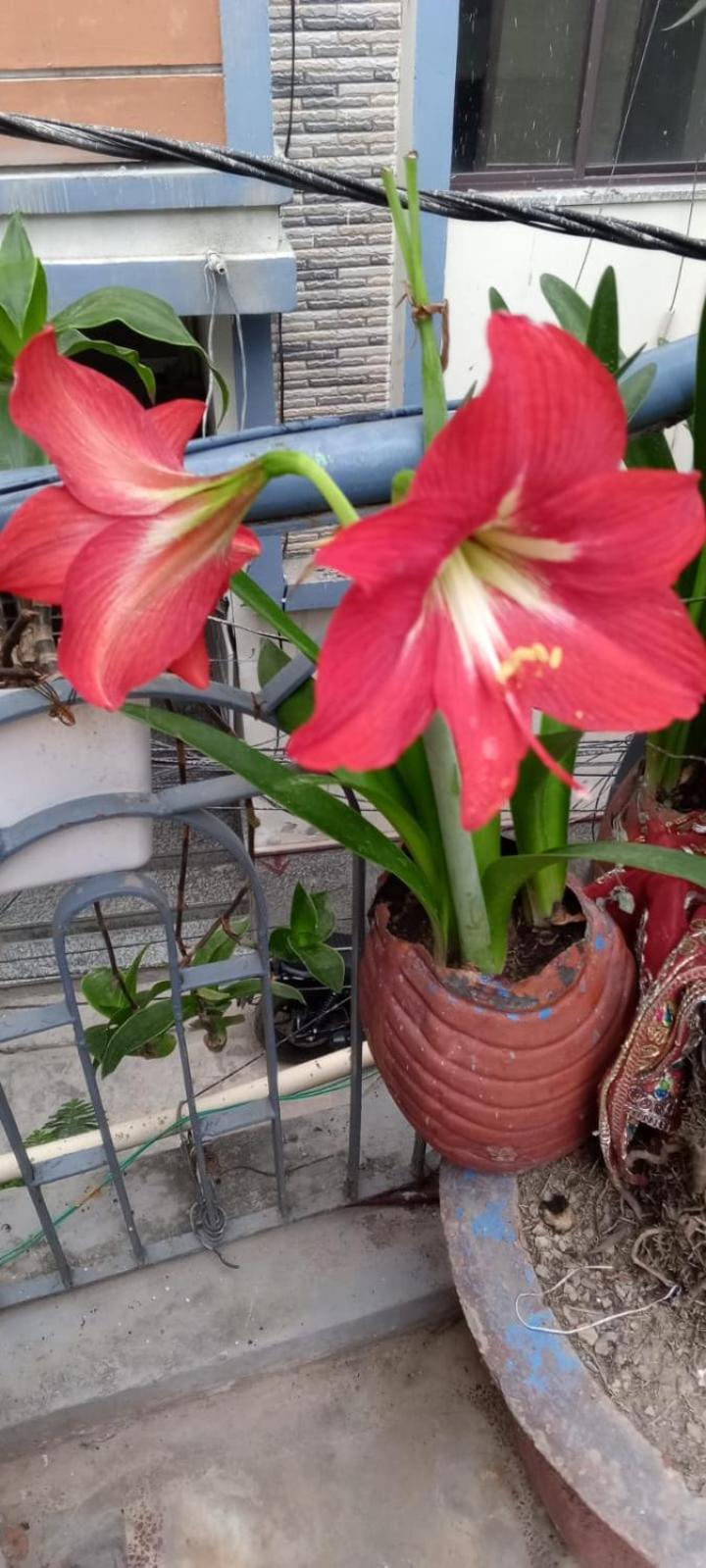 Gungun Homestay Rishikesh Ngoại thất bức ảnh